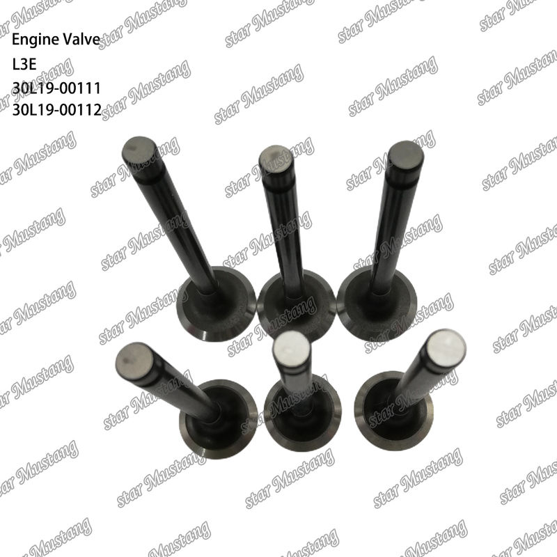 L3E 30L19-00111 30L19-00112 Linh kiện động cơ diesel Hàng chính hãng có hỗ trợ trực tuyến sau bán hàng