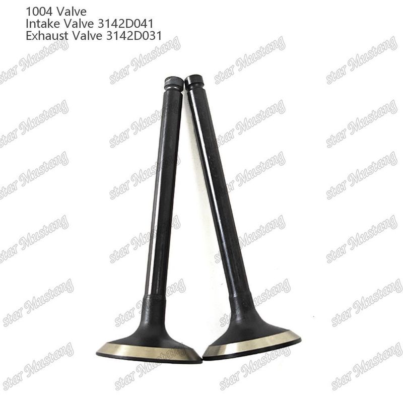 Van cấu trúc tích hợp 1004 3142D041 3142D031 Phụ tùng động cơ diesel Hàng tồn kho gốc với Hỗ trợ trực tuyến sau