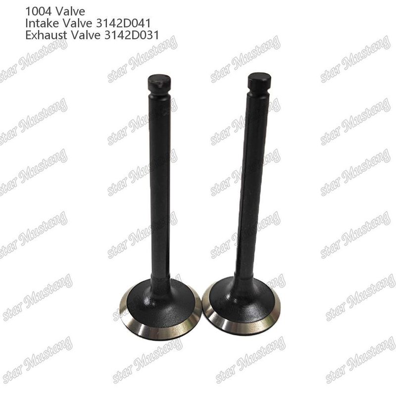 Van cấu trúc tích hợp 1004 3142D041 3142D031 Phụ tùng động cơ diesel Hàng tồn kho gốc với Hỗ trợ trực tuyến sau