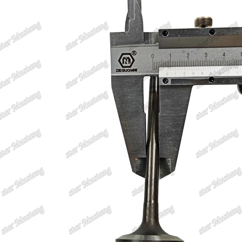 Bộ phận động cơ diesel nguyên bản với hỗ trợ trực tuyến sau khi