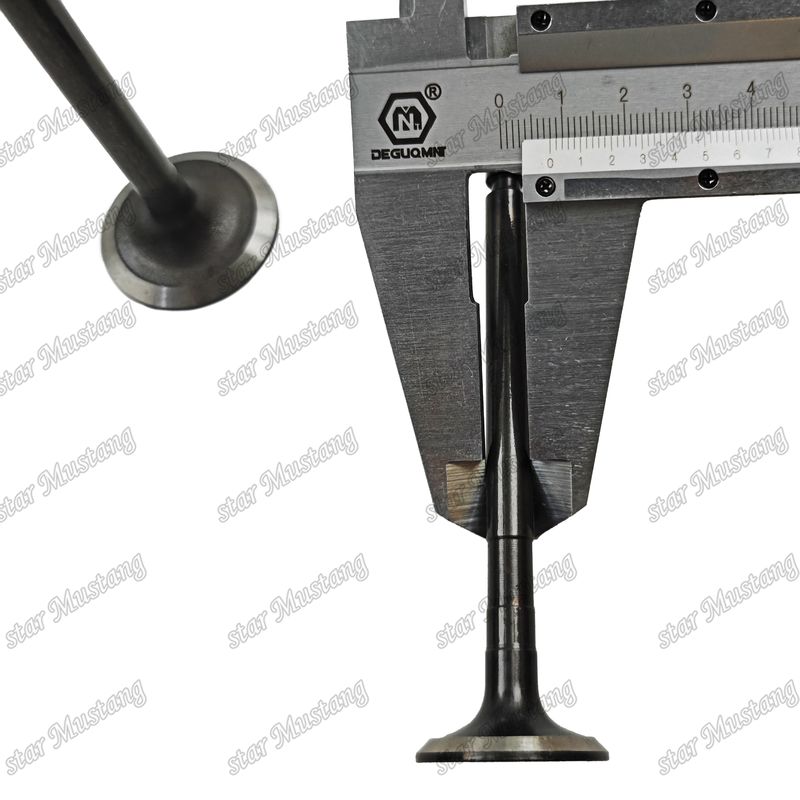 Bộ phận động cơ diesel nguyên bản với hỗ trợ trực tuyến sau khi