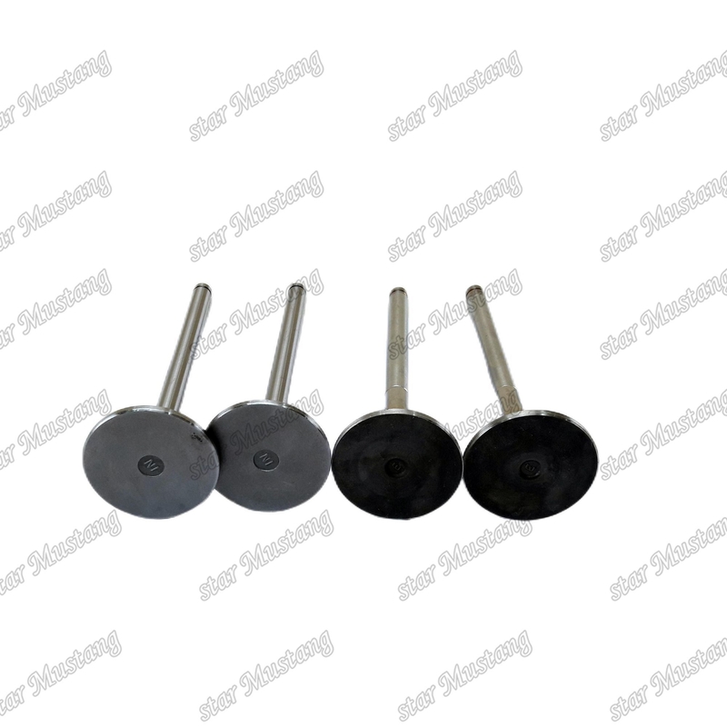 Van 6D170 IN 6162-43-4111 EX 6164-41-4210 Đối với các bộ phận động cơ Komatsu