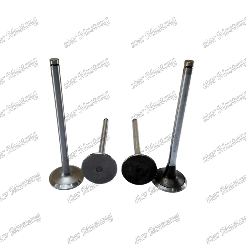 Van 6D170 IN 6162-43-4111 EX 6164-41-4210 Đối với các bộ phận động cơ Komatsu